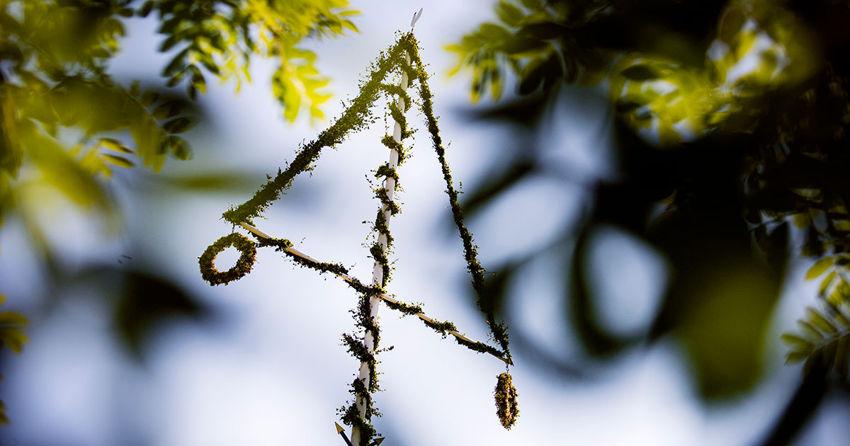 Oddsen visar: Här blir det sol på midsommar