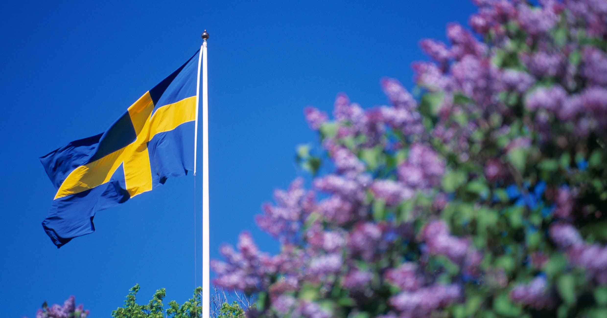 Oddsen: ChatGPT som sommarpratare?